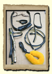 Stars & Scrolls Saddle