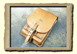 Standard field book case