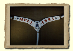 Inlaid custom breast collar